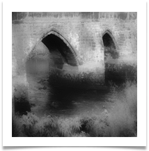 DSC_0243 v2- Carol Sparkes
